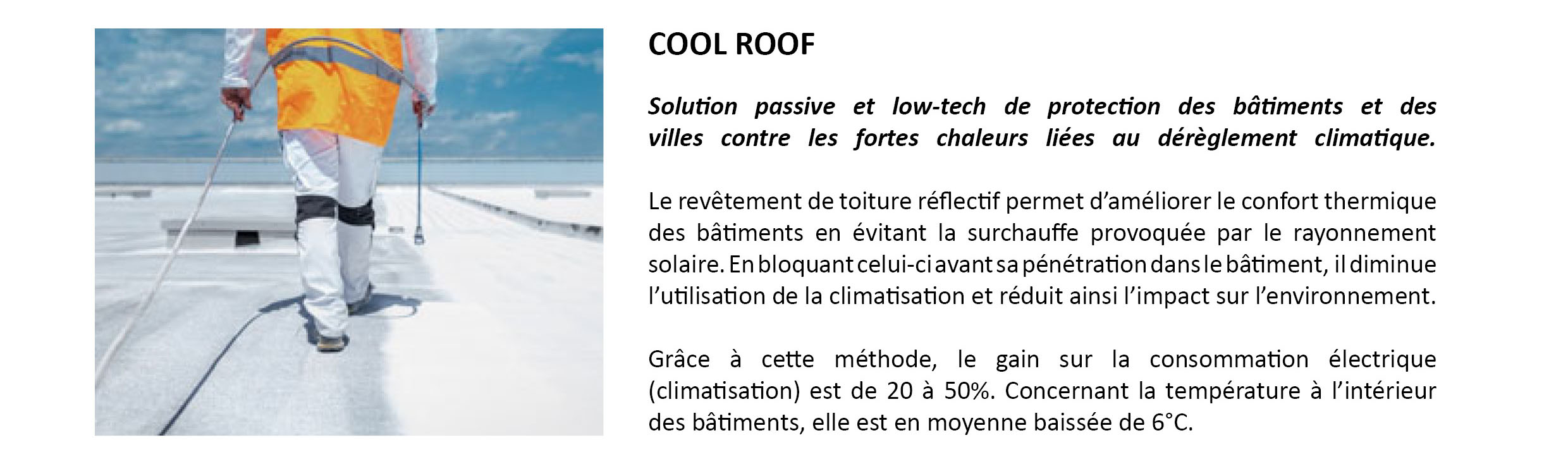 presentation web team for the planet cool roof