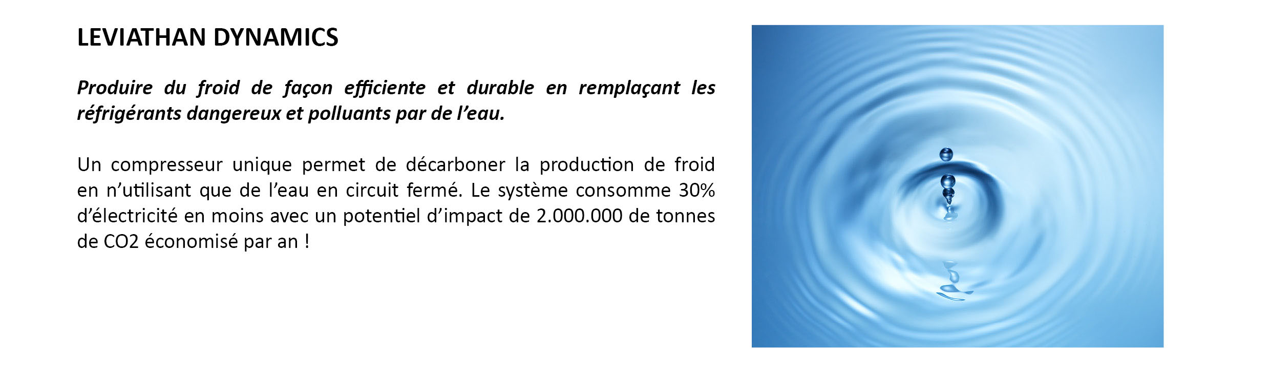 presentation web team for the planet leviathan dynamics